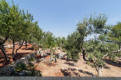 Agriturismo Salento