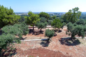 Agriturismo Salento